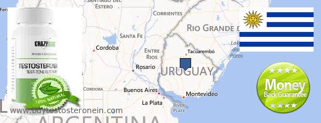 Πού να αγοράσετε Testosterone σε απευθείας σύνδεση Uruguay